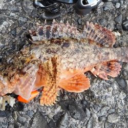 スーパーライトゲーム